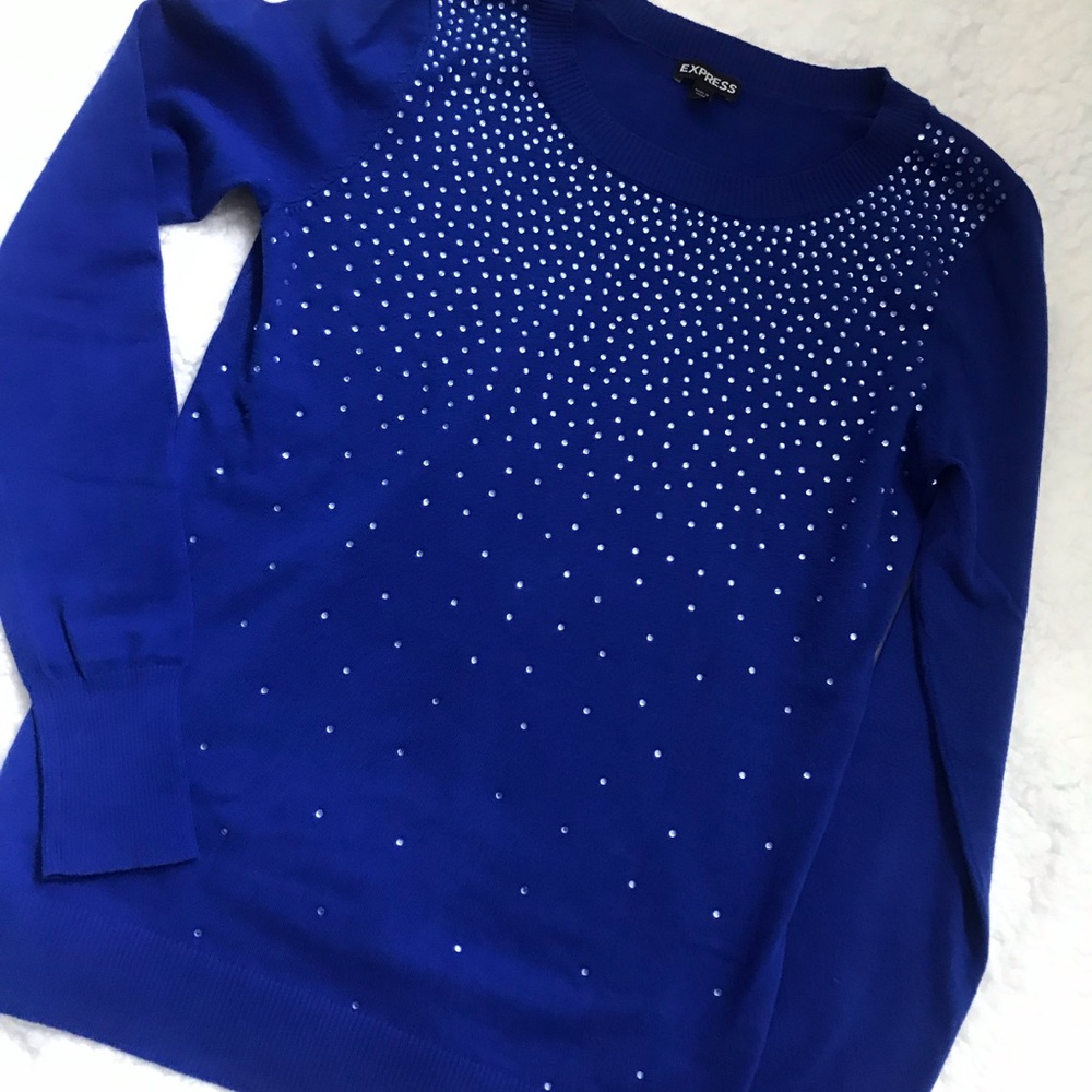 Express Blue Sweater